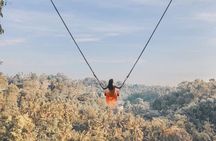 Bali Swing, Monkey Forest and Waterfalls Tour 