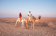Alkamar Camp Agafay Camel Ride with Dinner 