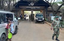 Maasai Mara Day Trip From Nairobi