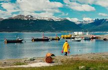 Guided Penguin Watching Tour and Centolla Route
