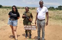 Maasai Mara Day Trip From Nairobi