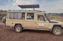 Full- Day Trip to Tarangire National Park From Arusha