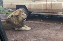 3-Day / 2 Nights Group Safari Serengeti & Ngorongoro Crater