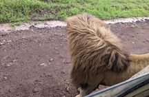 3-Day / 2 Nights Group Safari Serengeti & Ngorongoro Crater