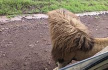  4-Day Group Tour to Tarangire, Serengeti, Ngorongoro - Lodge