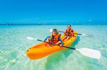 Guided Kayak Tour from Elysian