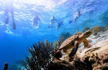 Underwater Guided Snorkeling Adventure in Bonaire