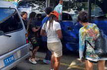 Private Best of St Lucia Mud Bath & Toraille Waterfall Excursion