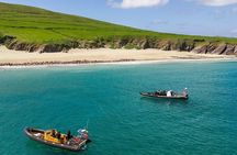 Blasket Island Sea Life Rib Tour,