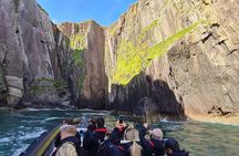 Blasket Island Sea Life Rib Tour,