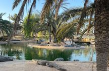 Guided Tour of Djerba island, Museums, Crocodile park & lunch