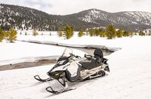 Tahoe Snowmobiling Tours