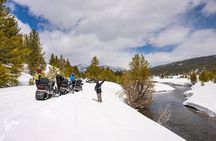 Tahoe Snowmobiling Tours