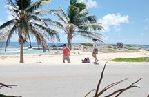 Off road ATV and Beach Club with Aqua Park