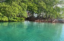 Roatan Eastern Odyssey Mangroves Tunnel , ATV and Beach 