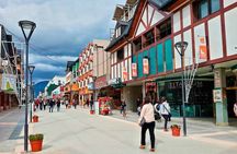 Half Day Experience Viewpoints and Delights of Ushuaia