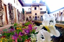 Alhambra Private Tour with Tickets to the Nasrid Palaces