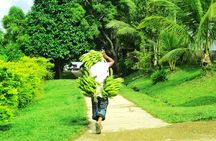 Private Amazonas Tour in Colombia