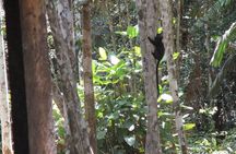 Private Amazonas Tour in Colombia