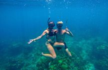 3 Private Islands Experience in Cartagena