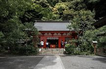 Private tour in Kamakura: Matcha tea tasting & photo shoot