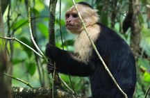 Private Naturalist Tour Marine National Park Whale