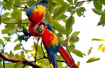 Private Naturalist Tour Marine National Park Whale