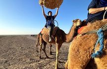 Agafay Desert: Quad Bike & Camel Ride & Magical Diner with Show