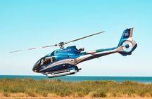 Whale Watching Ultimate Adventure Tour Kaikoura 1 hour 20 min
