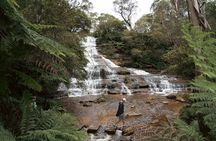 Blue Mountains Adventure w Scenic World, Zoo, Koala Photo & Ferry