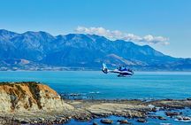 Whale Watching Ultimate Adventure Tour Kaikoura 1 hour 20 min