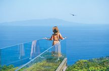 Ultimate View Izu Tour with Hotel Pickup, japanese guide