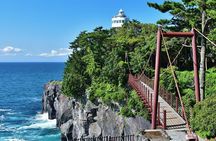 Ultimate View Izu Tour with Hotel Pickup, japanese guide