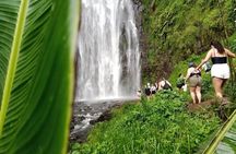 Materuni Waterfalls Hiking Tour with Coffee and Traditional Meal 