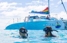 Waikiki Turtle Snorkel & Sail combo on Hawea Catamaran