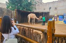 Dubai Private Tour of Creek, Souks, Frame, and Burj Khalifa Entry