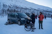 Tromsø Fjords Tour of Kvaloya and Sommaroy