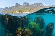 Animal Ocean Safaris