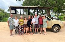 Private Full-Day Kruger National Park Safari 