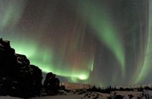  Forest Lagoon and Northern Lights Guided Night Tour 