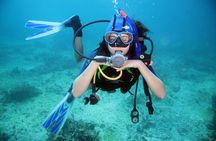 Intro Scuba Diving For Beginners With Lunch in Hurghada