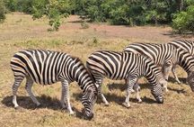 Accra Safari and Boat Cruise - Full Day Private Tour