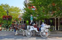 Tour of Niagara Falls (Niagara Falls)