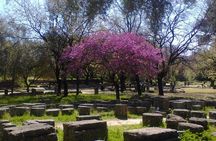 Private Guided Tour of the Archaeological Site and Museum of Olympia