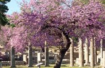 Private Guided Tour of the Archaeological Site and Museum of Olympia