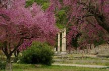 Private Guided Tour of the Archaeological Site and Museum of Olympia