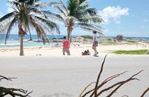Cozumel Beach Club Mayan Park and Downtown Adventure