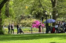 New York Upper East Side Art and Architecture Tour