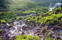 Private Tour Rincón de la Vieja Volcano and Oropendola Waterfall