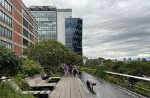 New York Chelsea and High Line Art and Architecture Tour